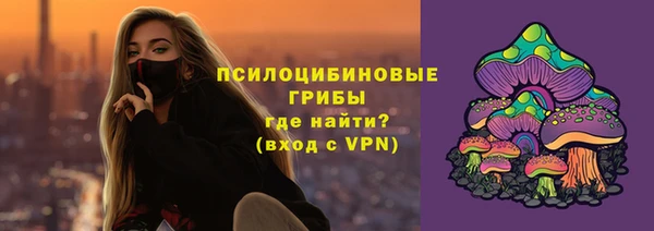 мяу мяу мука Горно-Алтайск