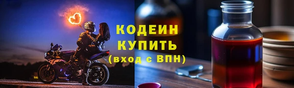 ГАЛЛЮЦИНОГЕННЫЕ ГРИБЫ Горняк