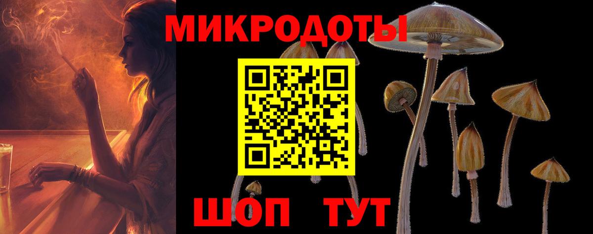 Псилоцибиновые грибы мухоморы Петрозаводск