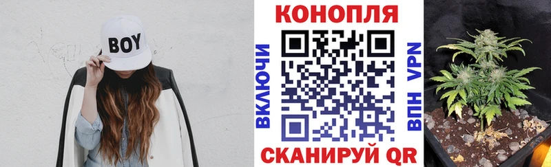 Бошки марихуана Ganja  Петрозаводск 