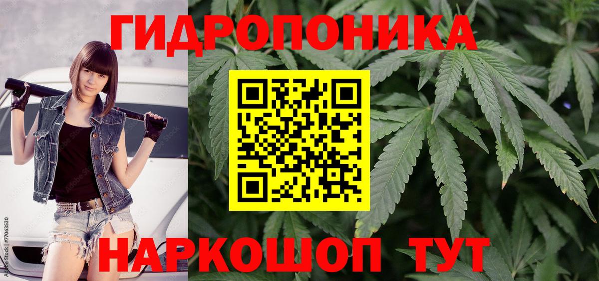 Шишки марихуана марихуана Петрозаводск